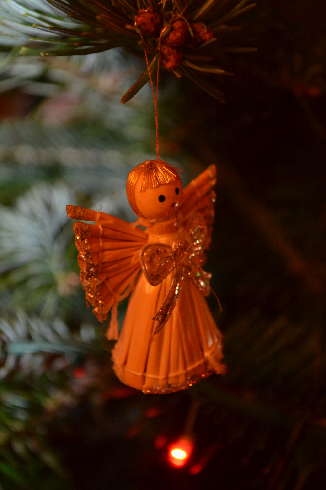 DSC_0438.JPG