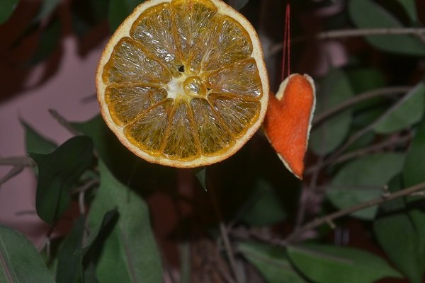 DSC_0151_2.JPG