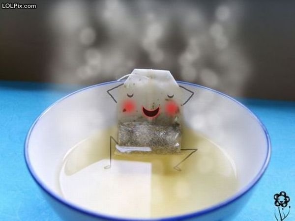 Funny_Pictures_11228