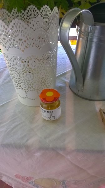 WP_20140726_13_00_08_Pro