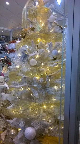 WP_20141219_17_29_16_Pro